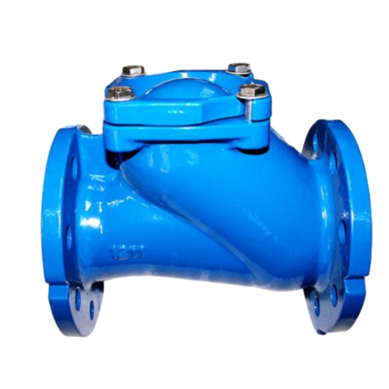 Ball Ṣayẹwo Valve